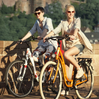 Spezial-Zweirad-Shop Torino-Schramm Abbildung Nr. 9