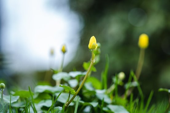 Meike Geißler Heilpraktikerin - für Psychotherapie, Hypnosetherapie, Coaching, Yoga  & Meditation Abbildung Nr. 7