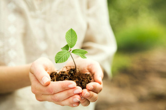 Meike Geißler Heilpraktikerin - für Psychotherapie, Hypnosetherapie, Coaching, Yoga  & Meditation Abbildung Nr. 3