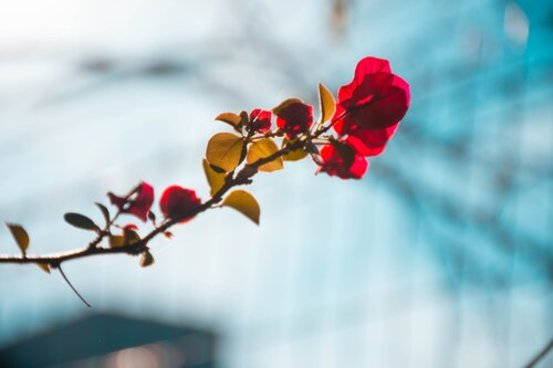 Meike Geißler Heilpraktikerin - für Psychotherapie, Hypnosetherapie, Coaching, Yoga  & Meditation Abbildung Nr. 4