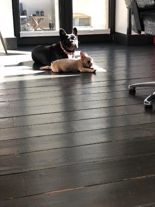 Friseur Babadada´s Abbildung Nr. 5