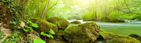 Hypnosepraxis Annette Meier Vorschau