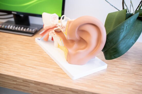 Die Hör-Insel GmbH Abbildung Nr. 4