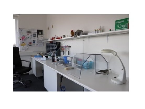 flOHRstadt Hörgeräte GmbH Abbildung Nr. 5