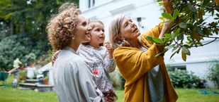 Stefan Völkl – Plansecur Beratung Vorschau