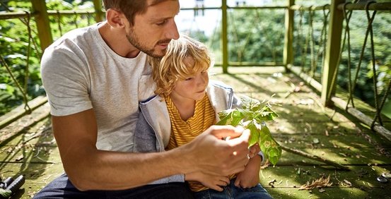Stefan Völkl – Plansecur Beratung Abbildung Nr. 4