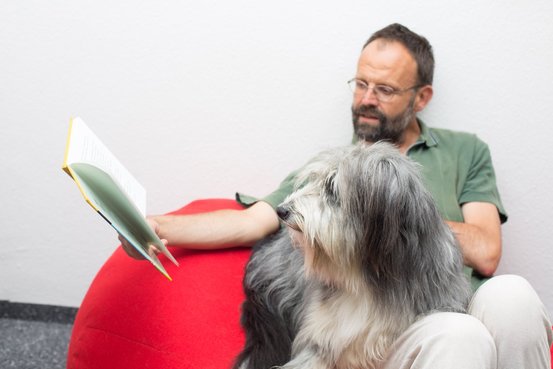 Bildungszentrum Rheinfelden Nachhilfe- & Sprachschule Abbildung Nr. 13