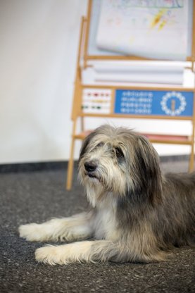 Bildungszentrum Rheinfelden Nachhilfe- & Sprachschule Abbildung Nr. 11