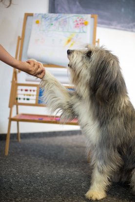 Bildungszentrum Rheinfelden Nachhilfe- & Sprachschule Abbildung Nr. 3