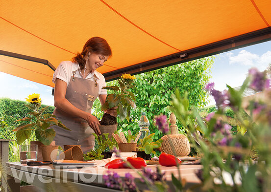 Aktion Markise Cassita weinor CD Terrassenwel