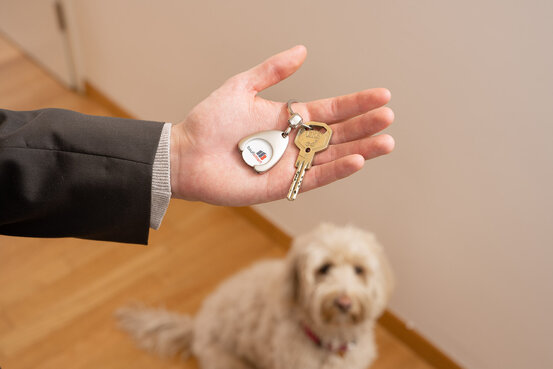 Baufismart GmbH Abbildung Nr. 7