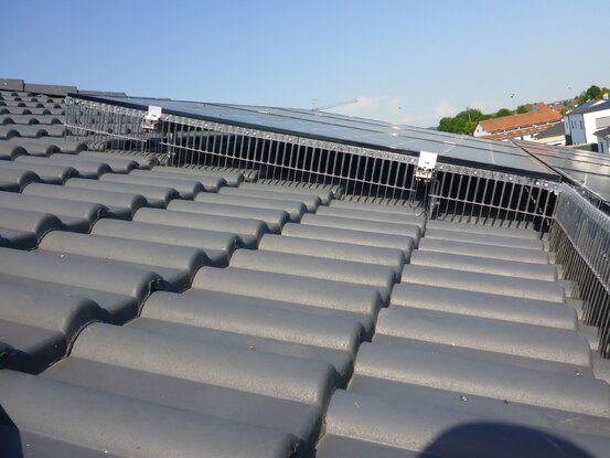 Taubenschutz & Consulting Abbildung Nr. 10