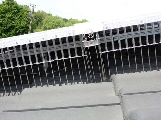 Taubenschutz & Consulting Abbildung Nr. 9