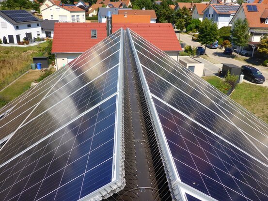 Taubenschutz & Consulting Abbildung Nr. 8