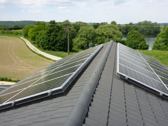 Taubenschutz & Consulting Abbildung Nr. 5