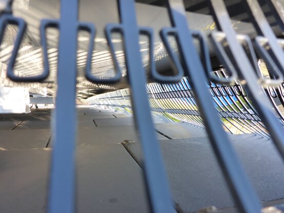 Taubenschutz & Consulting Abbildung Nr. 2