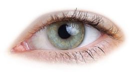 SONNENSCHEIN AUGENOPTIK Vorschau