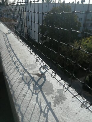 Kaiser Schädlingsbekämpfung & Gebäudereinigung GmbH Abbildung Nr. 6