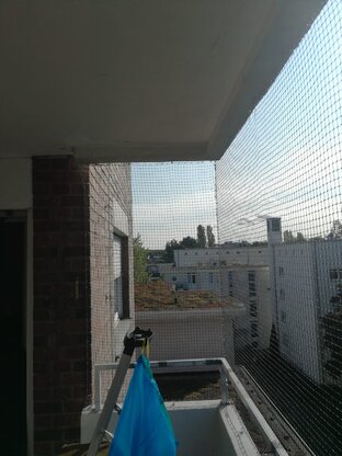 Kaiser Schädlingsbekämpfung & Gebäudereinigung GmbH Abbildung Nr. 5