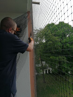 Kaiser Schädlingsbekämpfung & Gebäudereinigung GmbH Abbildung Nr. 4