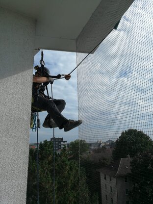 Kaiser Schädlingsbekämpfung & Gebäudereinigung GmbH Abbildung Nr. 3