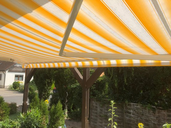 Gelenkarmmarkise Leiner Capri