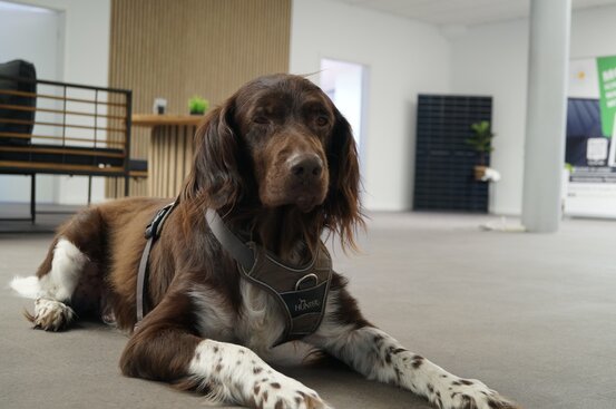 Elektro Meyer GmbH Abbildung Nr. 4