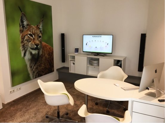 Hörakustik Käseberg & Kühn Abbildung Nr. 12