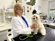 Tierarzt am U-Rohrdamm Vorschau