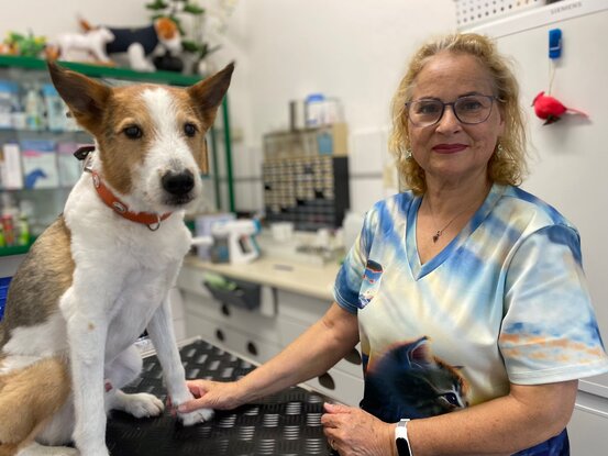 Tierarzt am U-Rohrdamm Abbildung Nr. 7