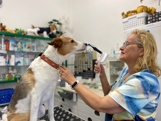 Tierarzt am U-Rohrdamm Abbildung Nr. 6