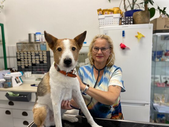 Tierarzt am U-Rohrdamm Abbildung Nr. 5