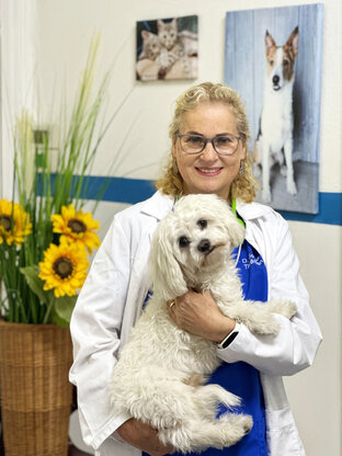 Tierarzt am U-Rohrdamm Abbildung Nr. 4