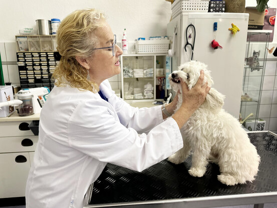 Tierarzt am U-Rohrdamm Abbildung Nr. 3
