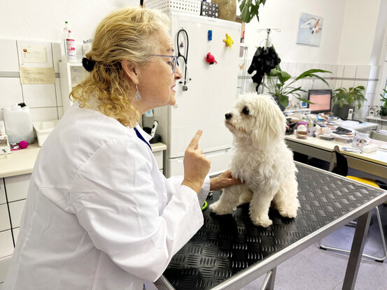 Tierarzt am U-Rohrdamm Abbildung Nr. 2