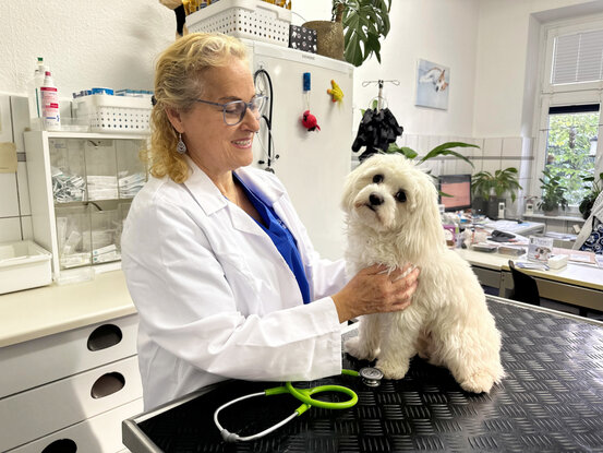 Tierarzt am U-Rohrdamm Abbildung Nr. 1