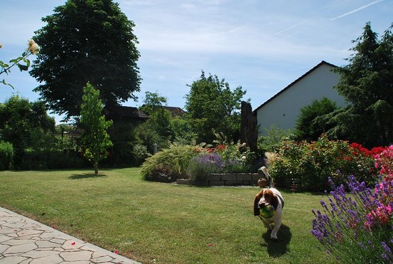 Vogt Garten- und Landschaftsbau  Abbildung Nr. 5