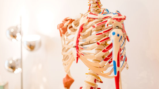 David Brauns - Praxis für Physiotherapie Abbildung Nr. 3