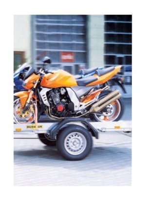 Anhänger Walcher Abbildung Nr. 14