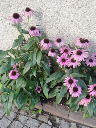 Baby Kinder Osteopathie Muenchen