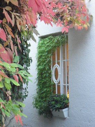 Baby Kinder Osteopathie Muenchen