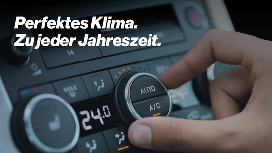 Autoservice Steinbauer GmbH & Co. KG Abbildung Nr. 5