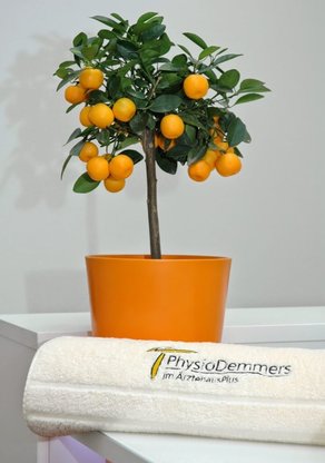 PhysioDemmers Abbildung Nr. 4