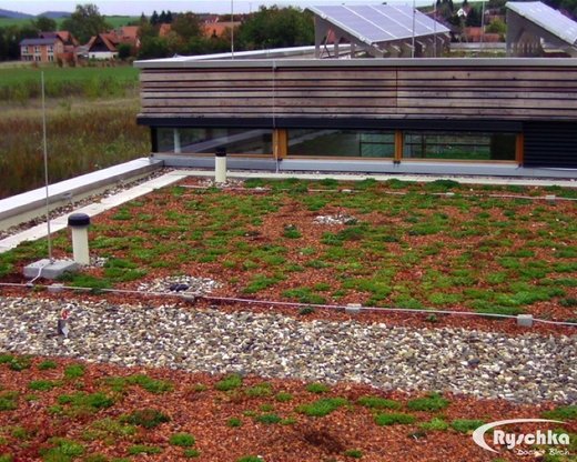 Flachdachabdichtung mit Dachbegruenung an ein