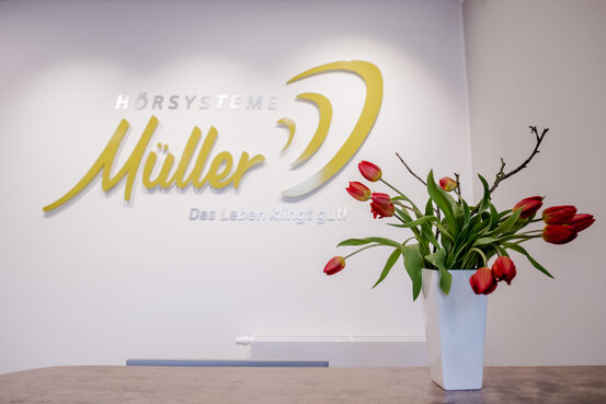 Hörsysteme Müller Abbildung Nr. 3