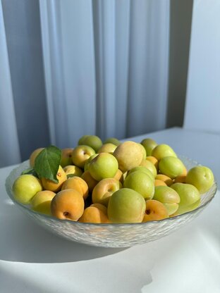 Ihre Firma mit Ihren Produkten & Services Abbildung Nr. 12