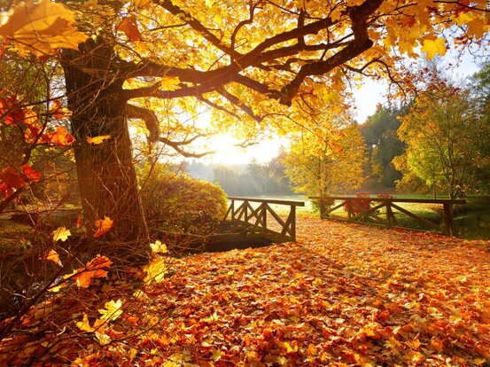 Ihre Firma mit Ihren Produkten & Services Abbildung Nr. 7