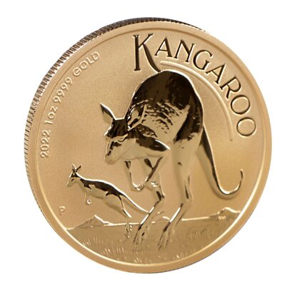 Astella Investmentcenter Oberlausitz GmbH Abbildung Nr. 4