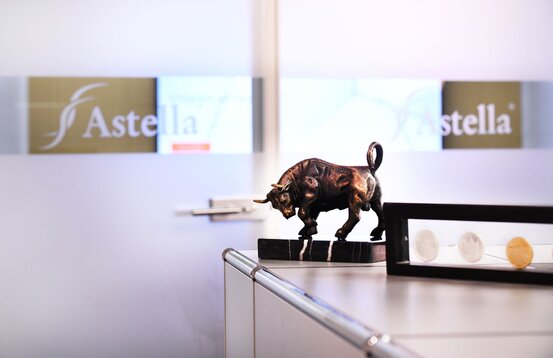 Astella Investmentcenter Oberlausitz GmbH Abbildung Nr. 1