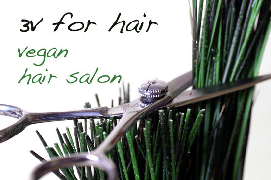 3v for hair vegan hair salon